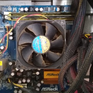 640cb6de51daa_1.jpg